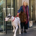 Naomi Watts indulges in a good old fashioned animal bonding story in The Friend trailer