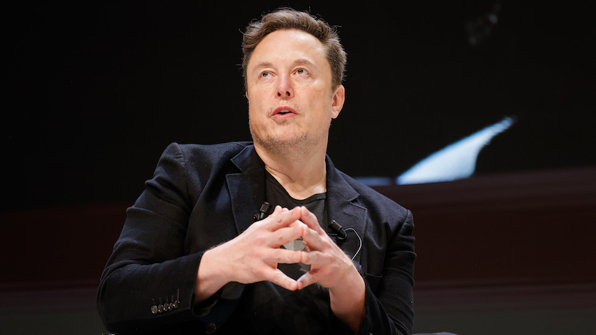 Elon Musk (grok)