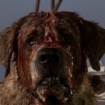 Netflix fetches Cujo remake