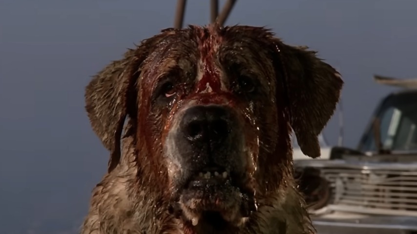 Netflix fetches Cujo remake