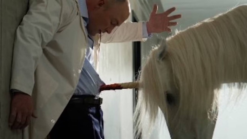 How Dungeons & Dragons set the rules for killer unicorns