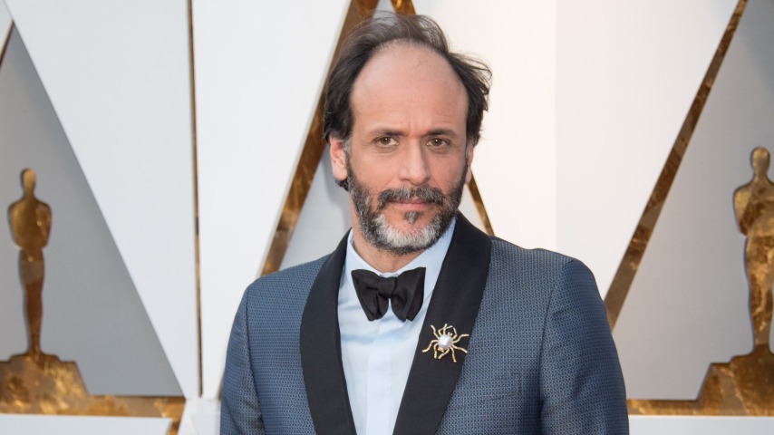 Luca Guadagnino reportedly sets real Artificial movie about OpenAI