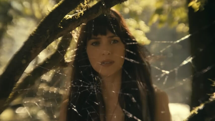 Dakota Johnson's final ruling on Madame Web: 