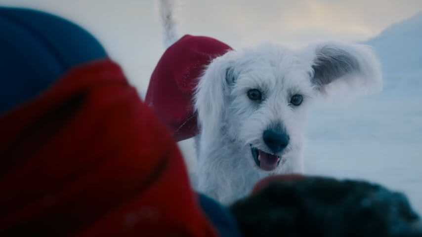 Test audiences rescue Krypto the Superdog from getting punched
