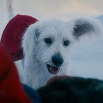 Test audiences rescue Krypto the Superdog from getting punched