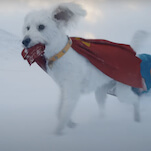 James Gunn dares to ask what if the world's worst dog had superpowers in Superman behind the scenes clip