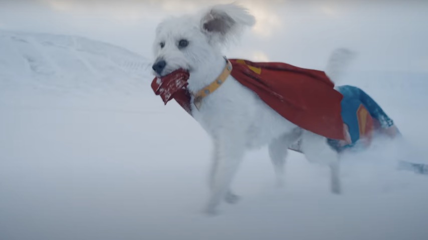 James Gunn dares to ask what if the world's worst dog had superpowers in Superman behind the scenes clip