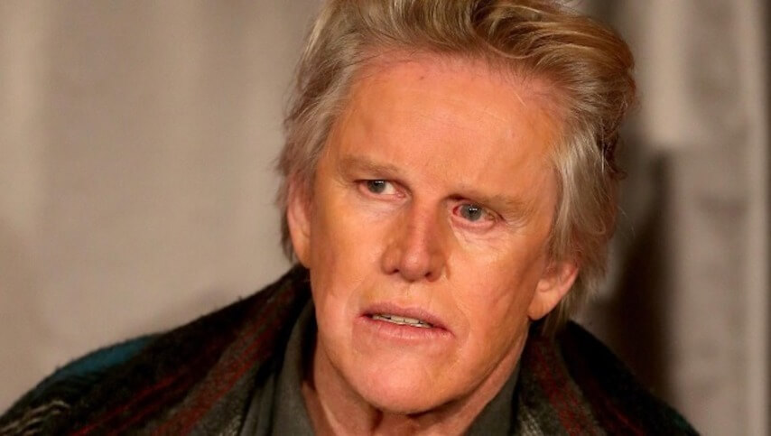 Gary Busey sentenced to two years probation in sexual offense case