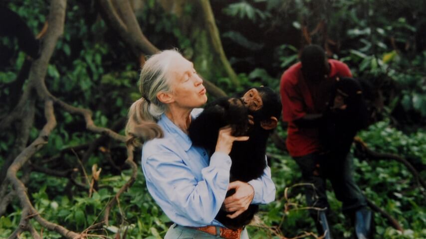 R.I.P. Jane Goodall, chimpanzee expert and celebrated conservationist