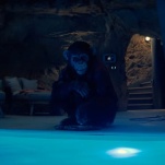 A rabid chimp goes to town on people in the simple yet satisfying Primate