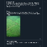 Great Job, Internet!: Finally, a Wikipedia meant for doomscrolling