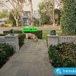 Great Job, Internet!: WeRateDogs breaks down Ring's consent-manufacturing Super Bowl commercial