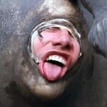 That's a surprisingly reasonable price for the Ace Ventura 2 