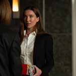 Paradise colors in its most evasive character