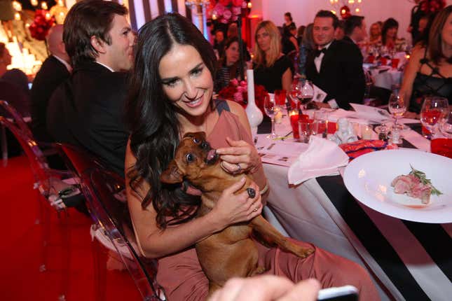 Small Dog or Baby: Demi Moore Must Choose