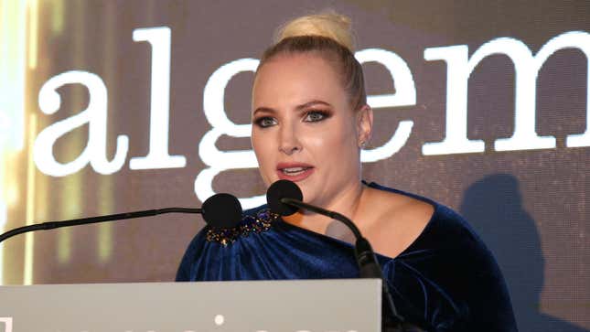 Sex Police Meghan McCain Reporting for Duty
