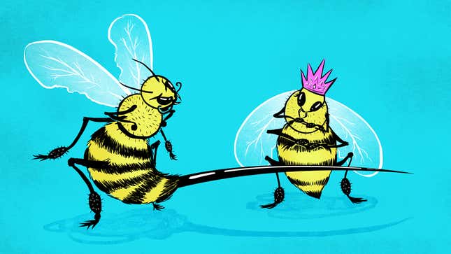 Queen Bees Are a Myth, Men Still the Ones Blocking Your Way to the Top