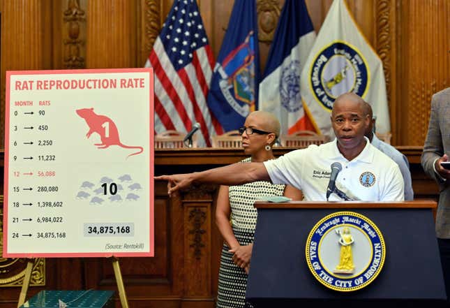 Rat-Killing Mayor