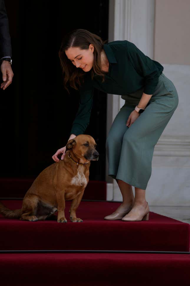 Petting Peanut the dog