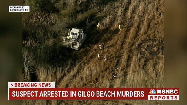 Police Identified Alleged Gilgo Beach Serial Killer by Burner Phones, Pizza Crust