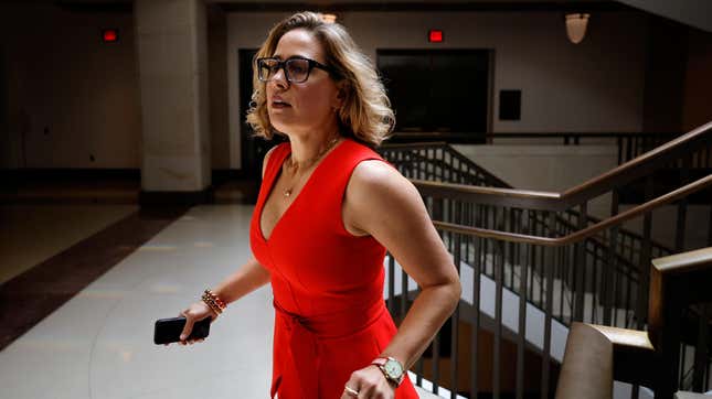 Kyrsten Sinema Has a Net Favorability of -23, Per New Statewide Poll