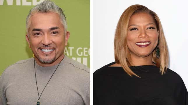 New Lawsuit Claims Cesar Milan Covered Up the Death of Queen Latifah’s Dog