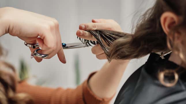 Hair Salon Says Trans Customers Should Visit ‘Local Pet Groomer’ After Supreme Court Ruling