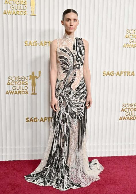 Rooney Mara in Alexander McQueen