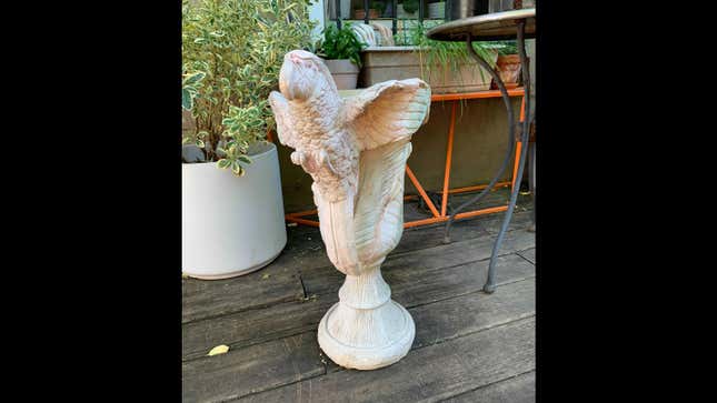 My One Passion in Life is Getting Beautiful Things For Free, Like This Parrot (??) Funeral Urn (??)