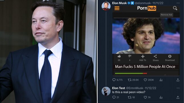 Elon Musk’s Alleged Burner Account Role-Played As a Horny Toddler
