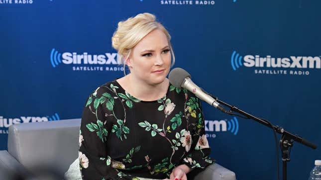 Meghan McCain's Former Co-hosts on The View Didn't Seem to Like Her Very Much