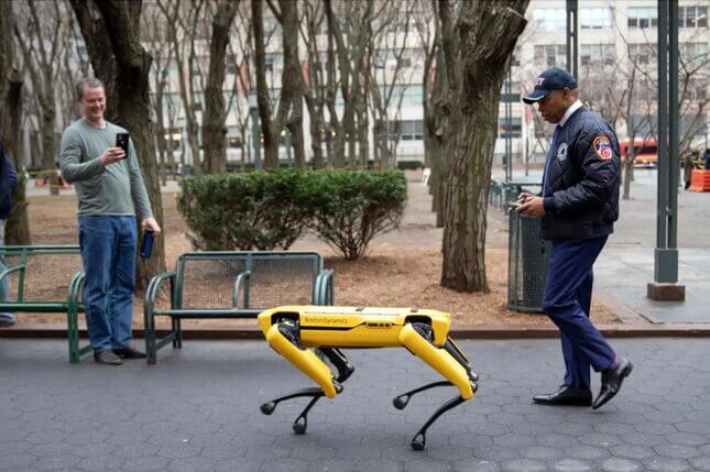 Robot Dog Mayor