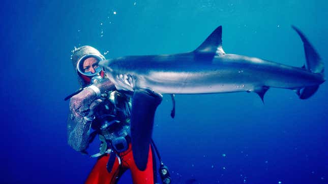 The Woman Who Played With Sharks and Lived To Tell About It (Of Course She Did)