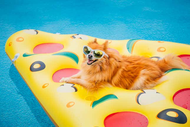 He tricked me into taking him grocery shopping, then asked to borrow my pizza floatie.