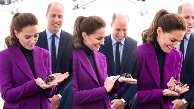 Catherine, Duchess of Cambridge, Held a Tarantula Named Charlotte