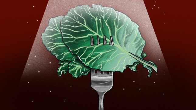 An Ode to the Cabbage, a Worthy and Delicious Brassica