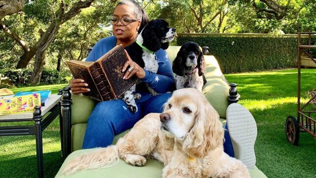Oprah's Dog Sadie Has Replaced Stedman in the Quarantine Kennel