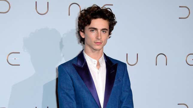 Why Ask Timothee Chalamet About the Armie Hammer Rape Accusations?