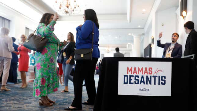 Florida’s Official New Book-Banning Council Was Quietly Packed With MAGA Moms