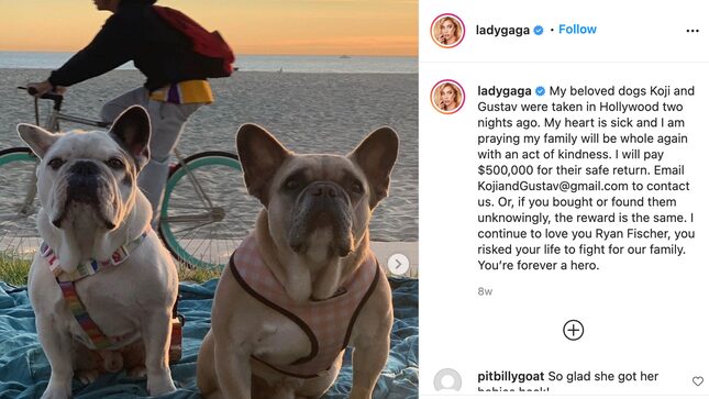 Lady Gaga's Alleged Dognappers Are Going to Court