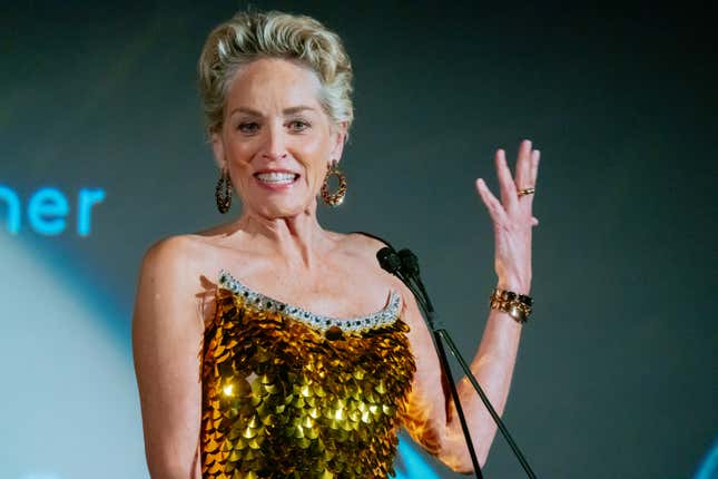Sharon Stone Did Not Understand the Assignment