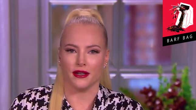 At Age 36, Meghan McCain Has Finally Discovered Paid Family Leave