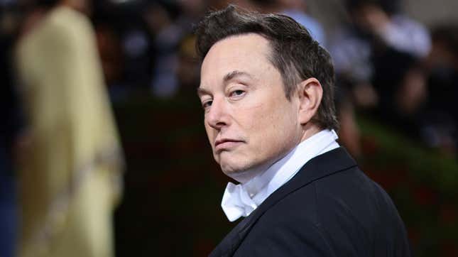 Elon Musk’s Ex Is Auctioning Off Old Photos, Revealing Single Benefit to Dating Him