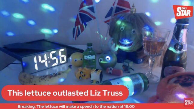 Confirmed: Liz Truss Could Not Outlast This Head of Lettuce