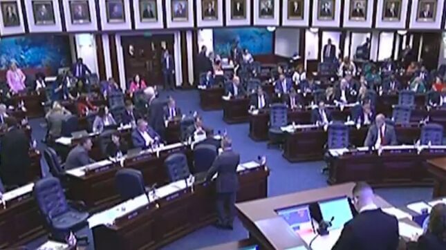 Florida Republicans Vote Down Abortion Exception for Condition That Nearly Killed a Black Woman
