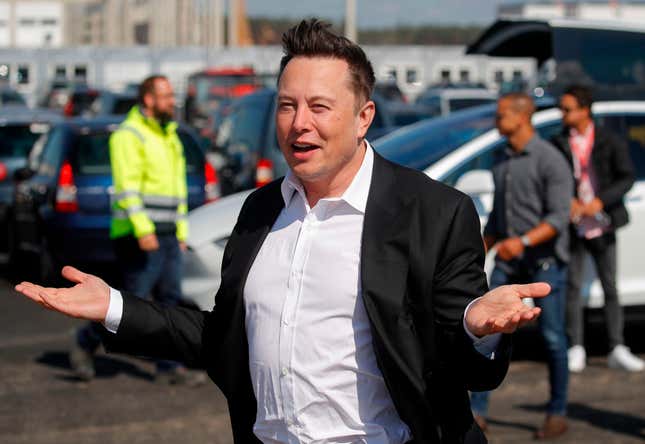 Elon Musk Secretly Had Twins with Top Tesla Executive, Now Has 9 Children