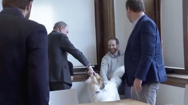 Michael Bloomberg Meets A Dog For What Can Only Be the Very First Time