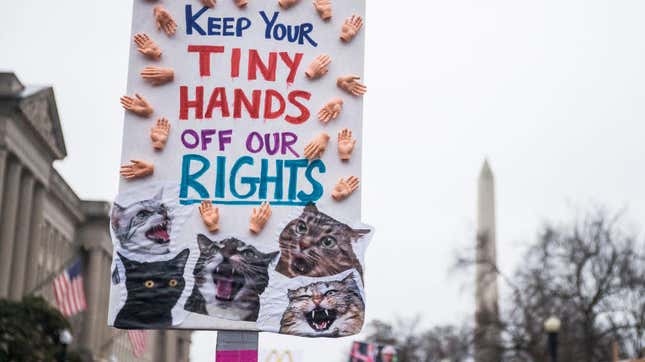 Uncensored Photos of the 2020 Women's March, Just in Case the National Archives Get Their Hands on Them