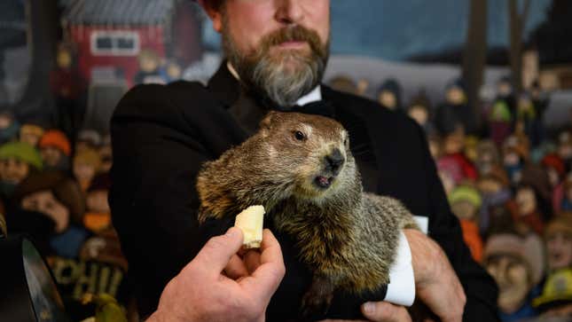 The Groundhog Is Clueless But I Respect Him Anyway