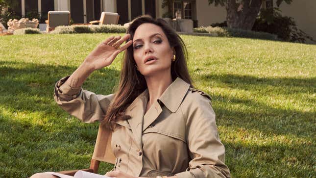 Angelina Jolie Also Thinks That Governments Are Doing a Crappy Job